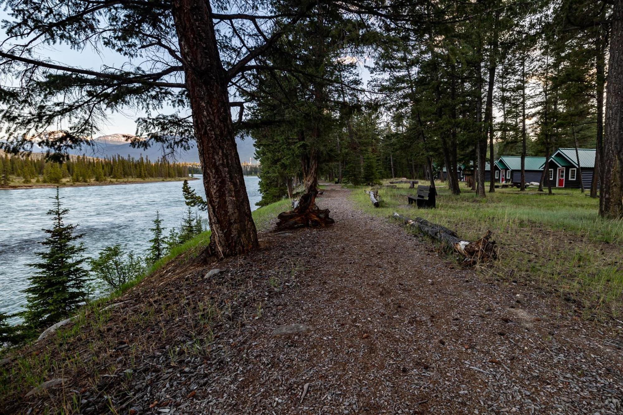 Pine Bungalows Джаспър Екстериор снимка